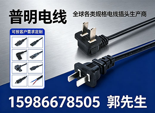 普明电线惠州线上分站